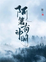 阿箬有神明小说讲了什么
