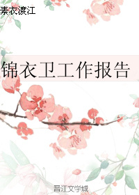 锦衣卫工作报告 素衣渡江百度网盘