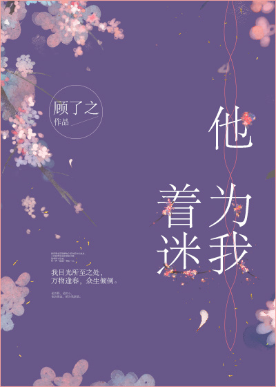 他为我着迷 小说