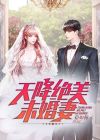 天降未婚妻小说