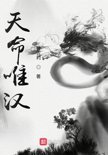 天命唯汉笔趣阁
