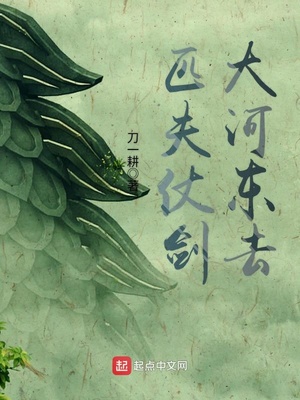 匹夫仗剑大河东去笔趣阁