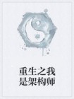 重生之我是架构师小说