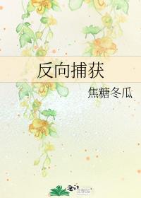反向捕获by焦糖冬瓜讲的什么