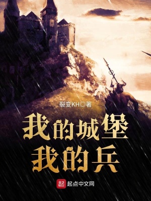 电视剧我的城堡