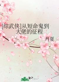 从短命鬼到大佬的征程 小说