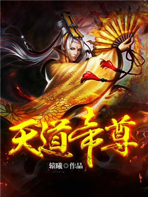 天道帝尊下载小说