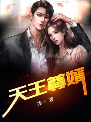 天王帝婿百科