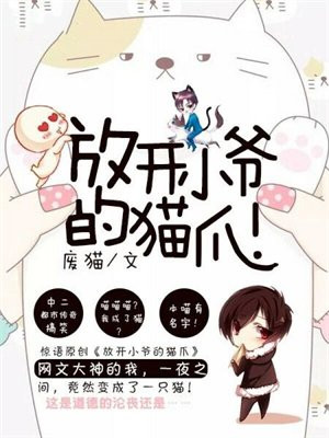 放开小爷的猫爪小说