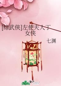 综武侠左使夫人丁女侠小说