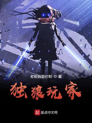 独狼玩家TXT下载
