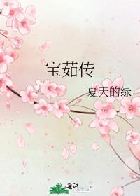 宝茹传夏天的绿讲的什么