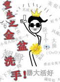 重生之金盆洗手 小说