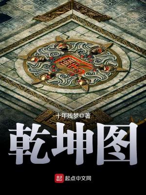 乾坤图小说