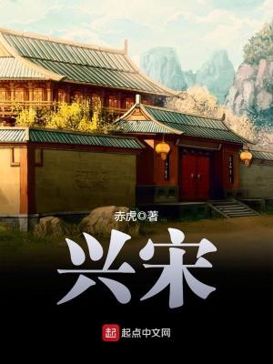 兴宋 小说