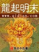 龙起大明