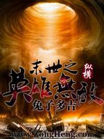 末世之英雄无敌免费阅读