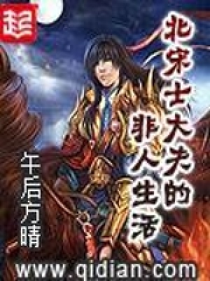 北宋士大夫的非人生活好看吗