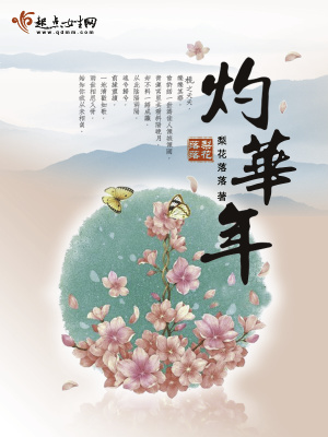 灼华年 小说