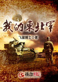 我的东北军之龙战于野免费阅读