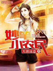 妙笔小农民小说