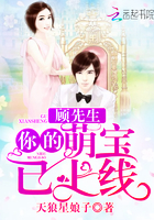 顾先生你的萌宝已上线 小说