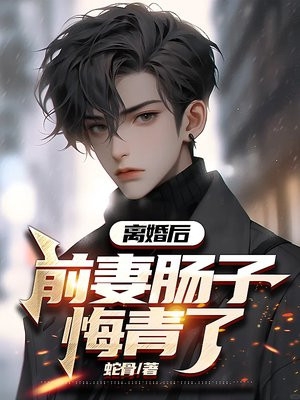 前妻后悔离婚的小说