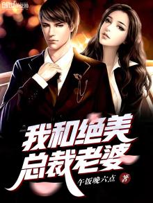 我和绝美总裁老婆下载