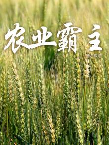 农业霸主