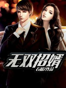 无双赘婿免费阅读无弹窗