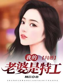 闪婚:我的老婆是特工
