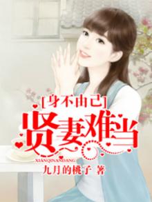 身不由己:贤妻难当