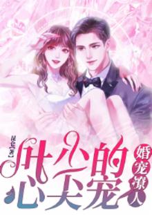 婚宠撩人,叶少的心尖宠