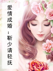 爱情成婚:靳少请轻抚