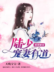暖婚入骨陆少宠妻太甜蜜 小说