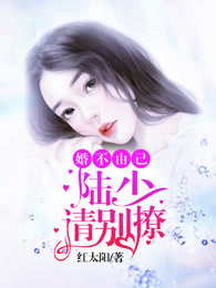 陆少的婚不由己