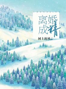 离婚成交小说