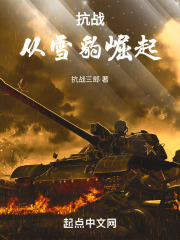 抗战:从雪豹崛起