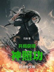 开局获得神光棒小说