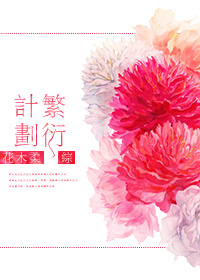 [综]繁衍计划 作者:花木柔