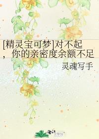 精灵宝可梦对不起你的亲密度余额不足