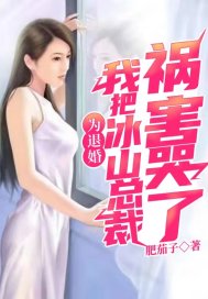霸道总裁误会灰姑娘