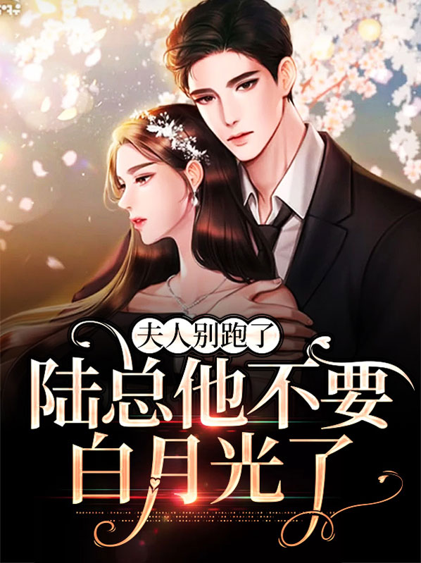 夫人别跑了在线阅读