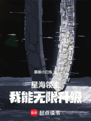 星海领主加料版