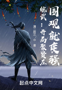 综武开局聚贤庄围观就变强小说