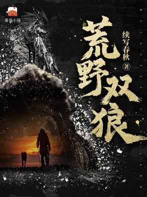 荒野双狼小说