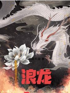 浪龙戏凤小说