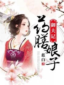 药膳娘子御夫记百度