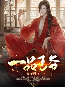 一品王爷小说