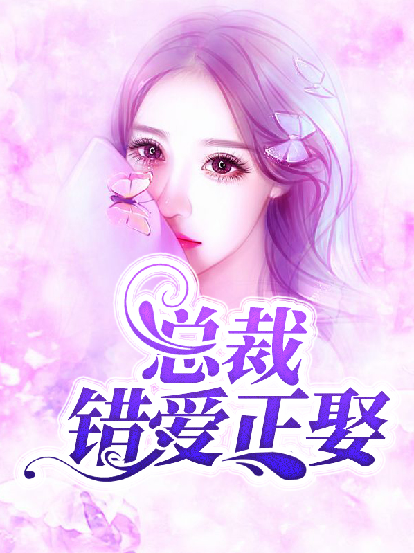 错爱总裁一婚到底 小说